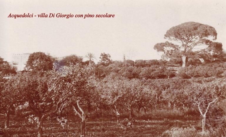 Generale ANTONINO DI Pro Loco Acquedolci